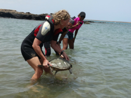 Maio Biodiversity Foundation- Fundaçao Maio Biodiversidade