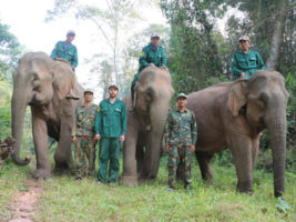 Mahout-rangers candidates