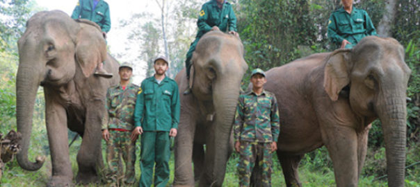 Mahout-rangers candidates